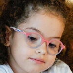 Yade Arayıcı