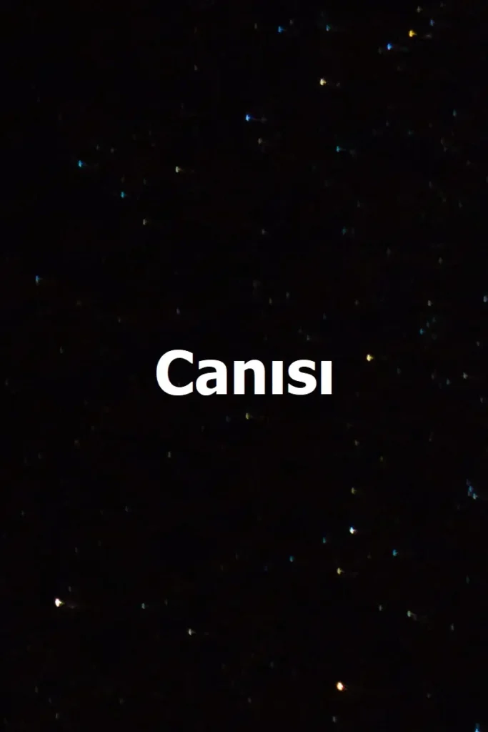 Canısı dizisi afişi