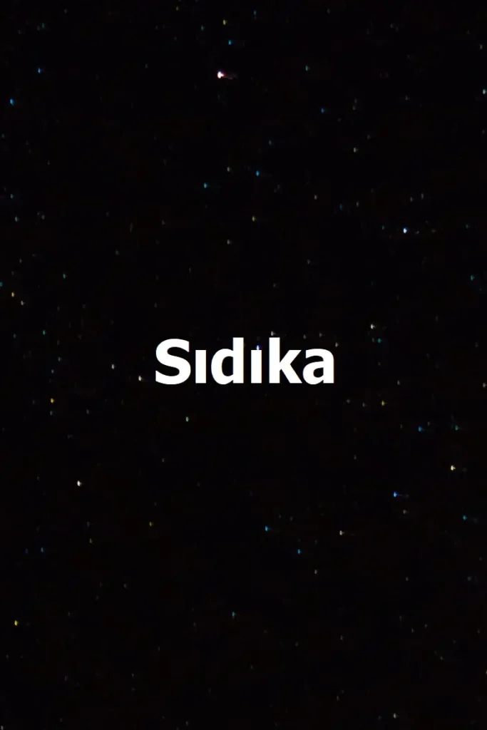 Sıdıka dizisi afişi