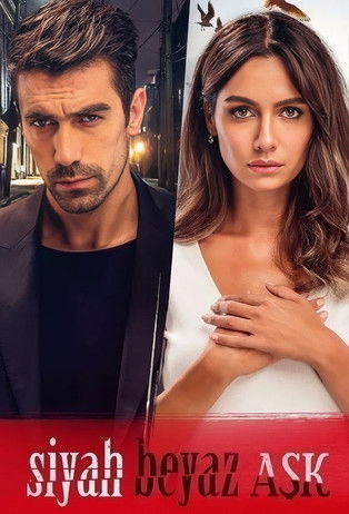 Siyah Beyaz Aşk dizisi afişi