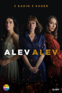 Alev Alev dizisi afişi