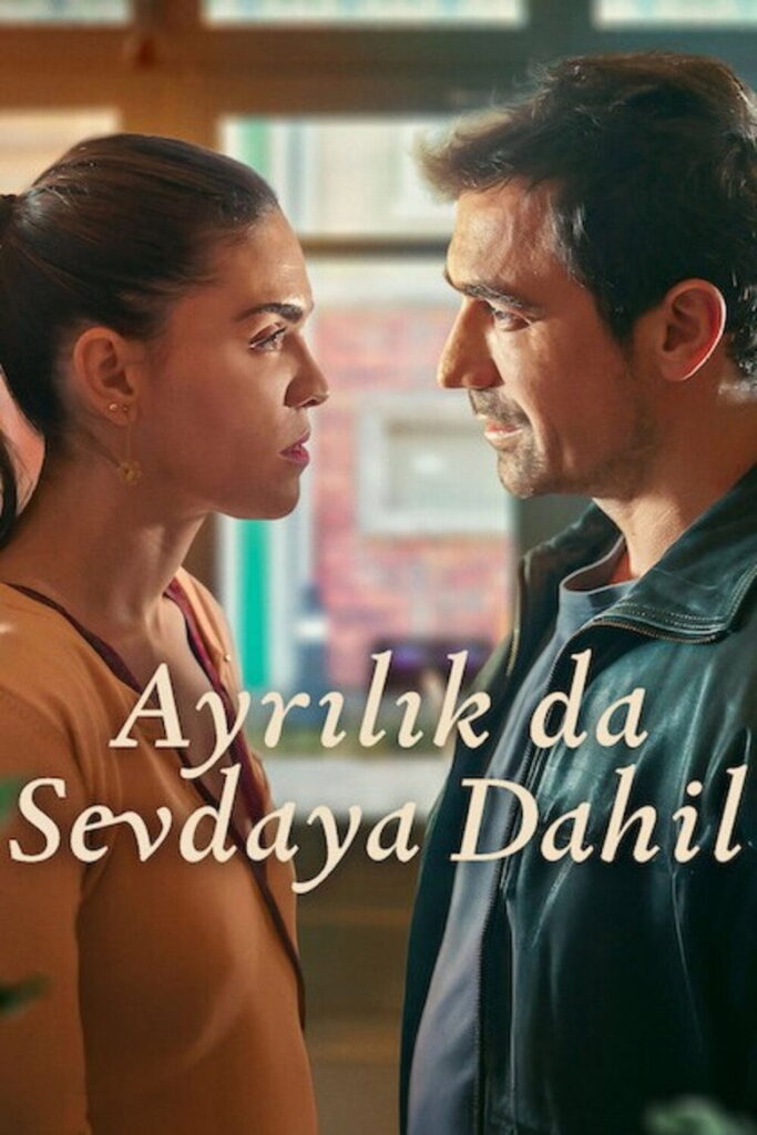 Ayrılık da Sevdaya Dahil dizisi afişi