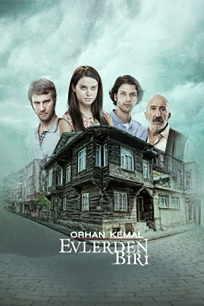 Evlerden Biri dizisi afişi