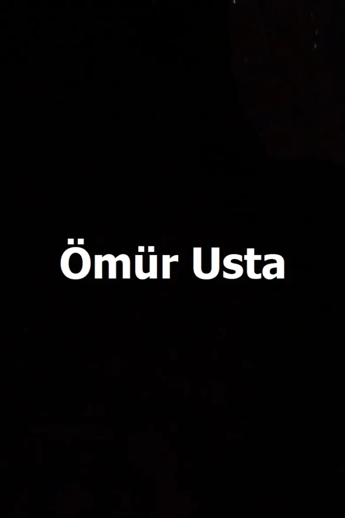 Ömür Usta dizisi