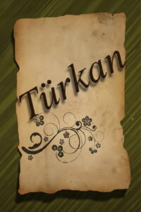 Türkan dizisi afişi
