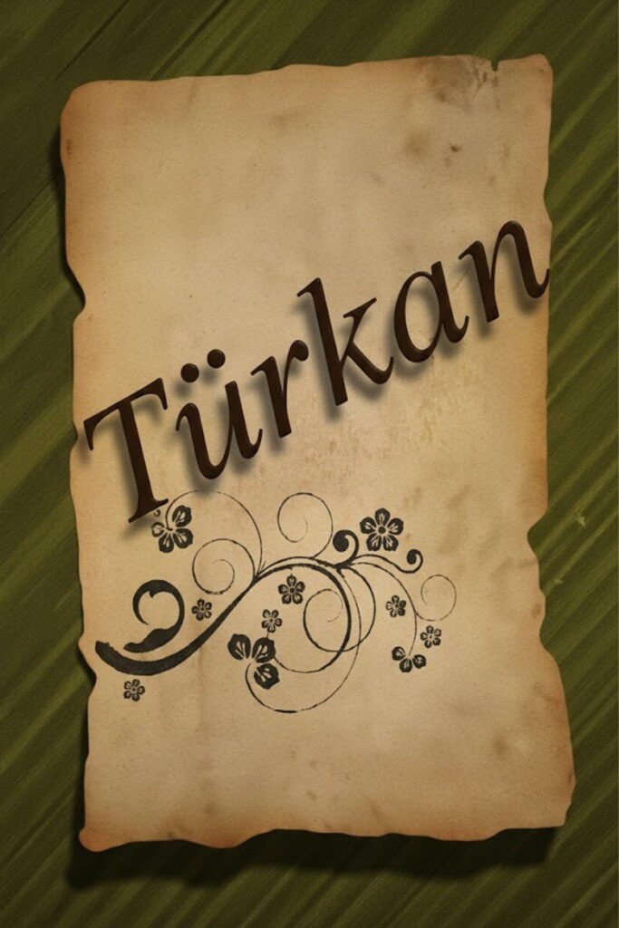Türkan dizisi afişi