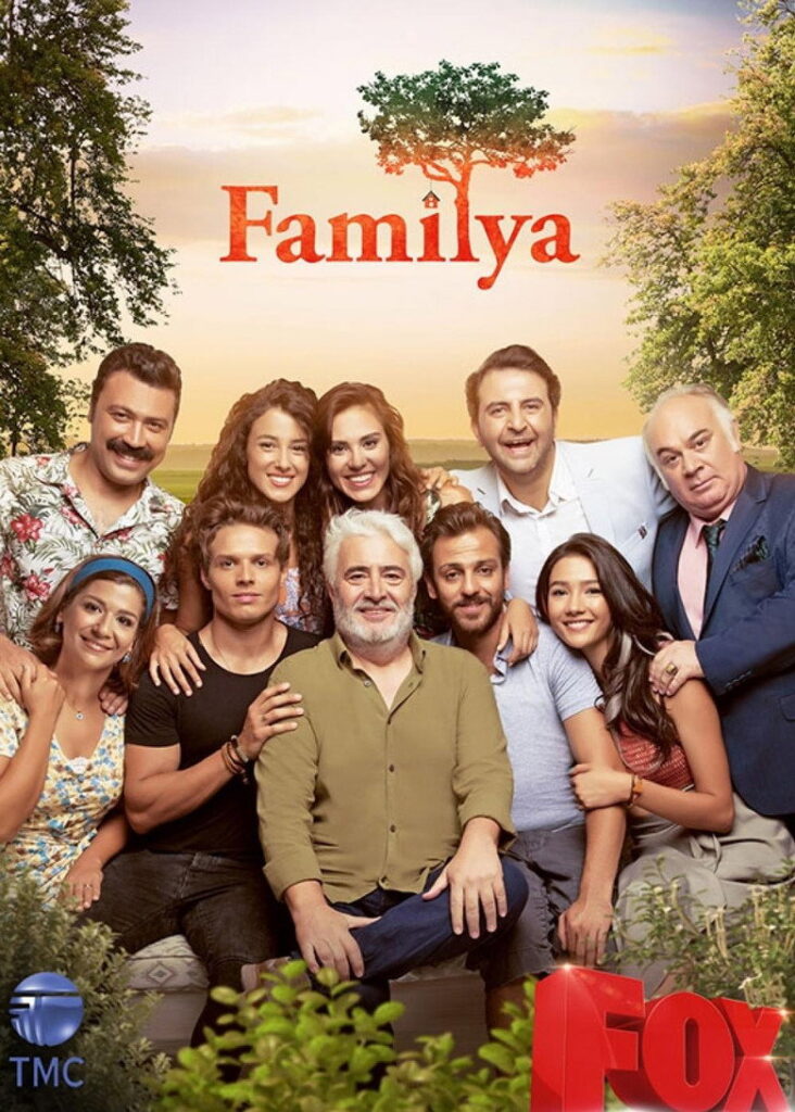 Familya dizisi afişi