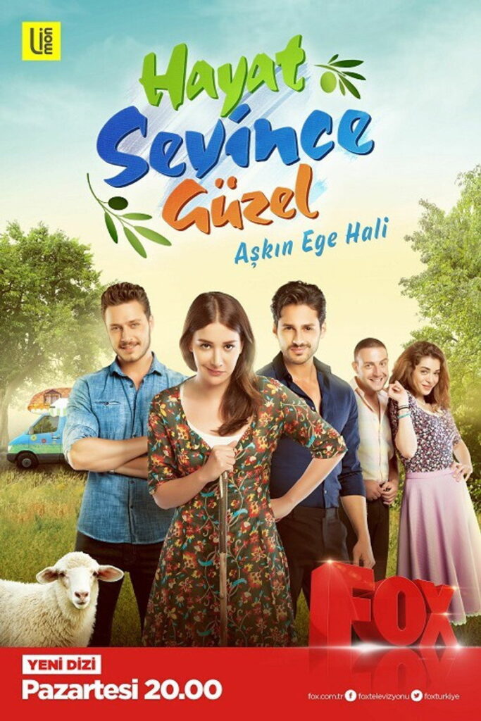 Hayat Sevince Güzel dizisi afişi