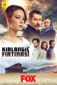 Kırlangıç Fırtınası dizisi afişi