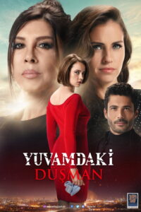 Yuvamdaki Düşman dizisi afişi