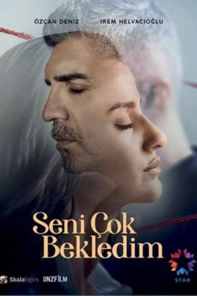 Seni Çok Bekledim dizisi afişi